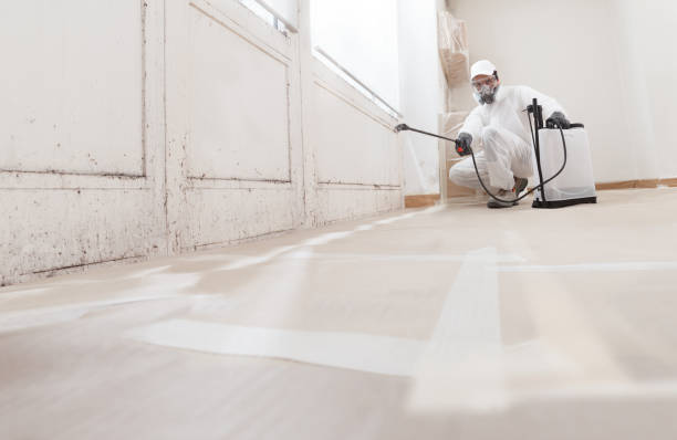 24/7 Emergency Mold Remediation experts in Barnesville, GA