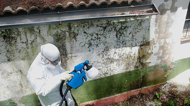 Top rated local Mold Remediation specialists in Barnesville, GA